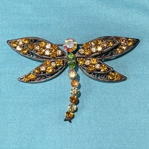 Multicolor Dragonfly